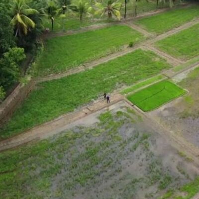 skynews-rice-paddies-rambukkana_5763666
