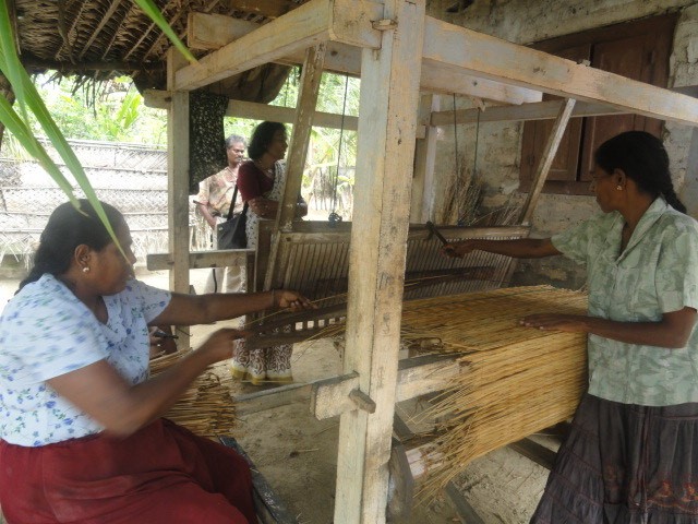Labour Force Participation Choice Versus Necessity – Ranmini Vithanagama